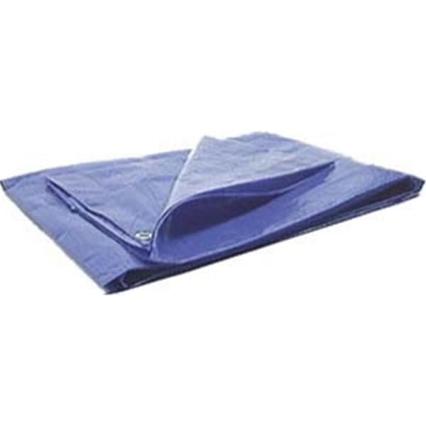 Patioplus Protective Tarp Size 10 x 20 PA2958446 - main